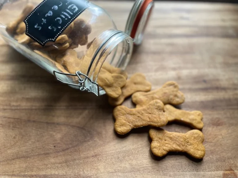 Simple Homemade Dog Treats spilling out of jar