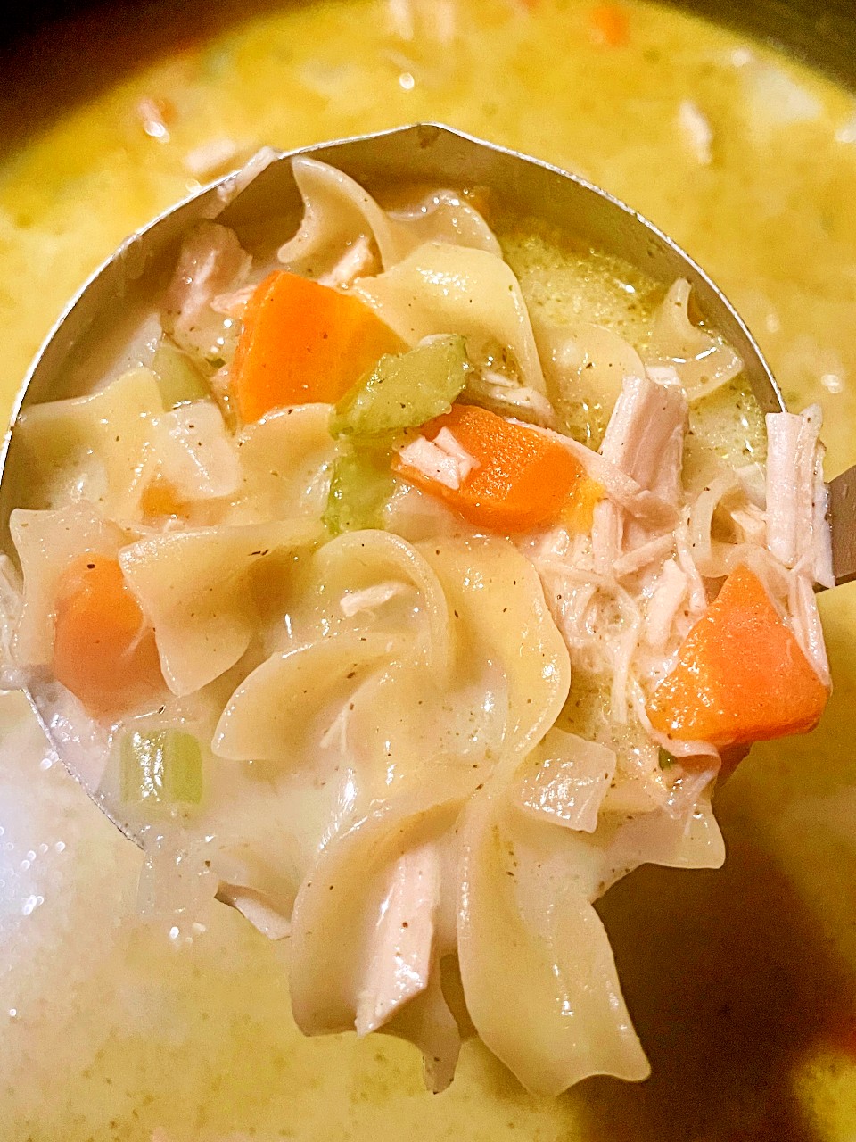 creamy chicken noodle soup
