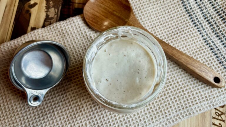 sourdough starter