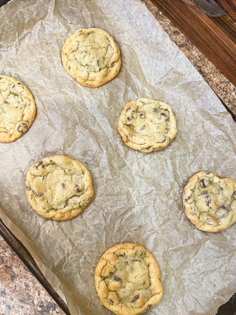 freshly  baked chocolate chip cookies