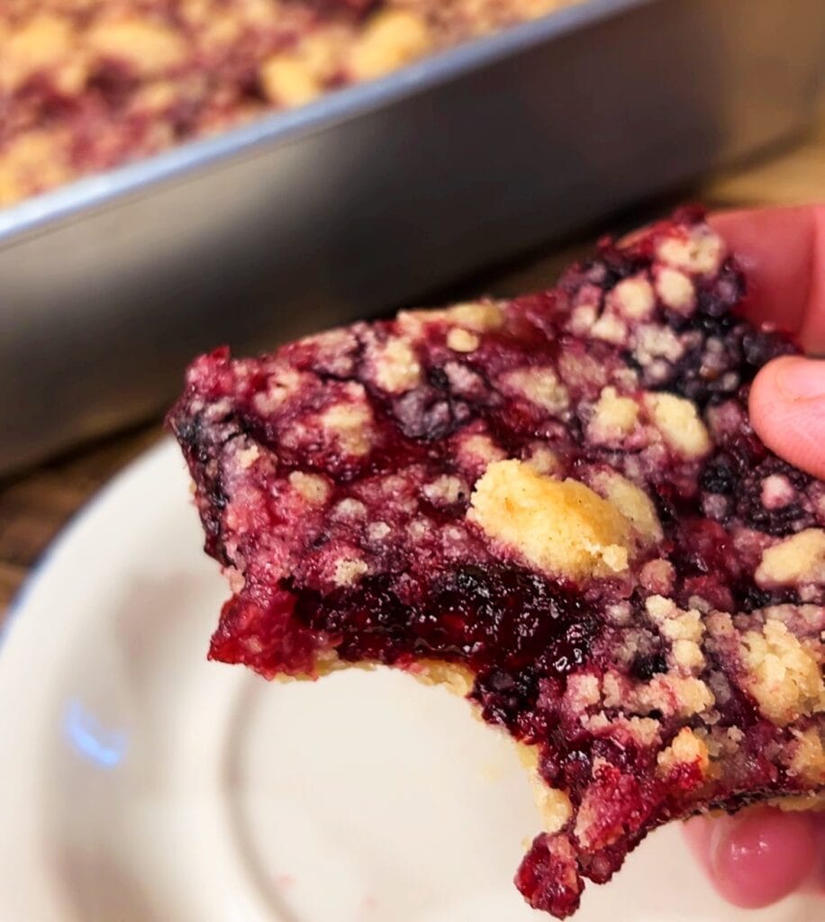 black raspberry crumble bar with a bite taken out